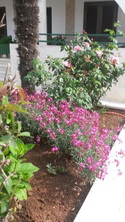 Apartments Soric روفينج المظهر الخارجي الصورة